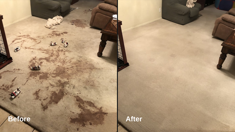 Professional Carpet Upholstery Cleaning In El Paso Tx A Chem Dry